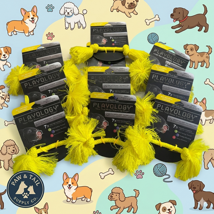 Playology Dri-Tech Rope Dog Toy Chicken Scent, Small Interactive Chew & Tug Toy 10-Pack – Wholesale Bundle!