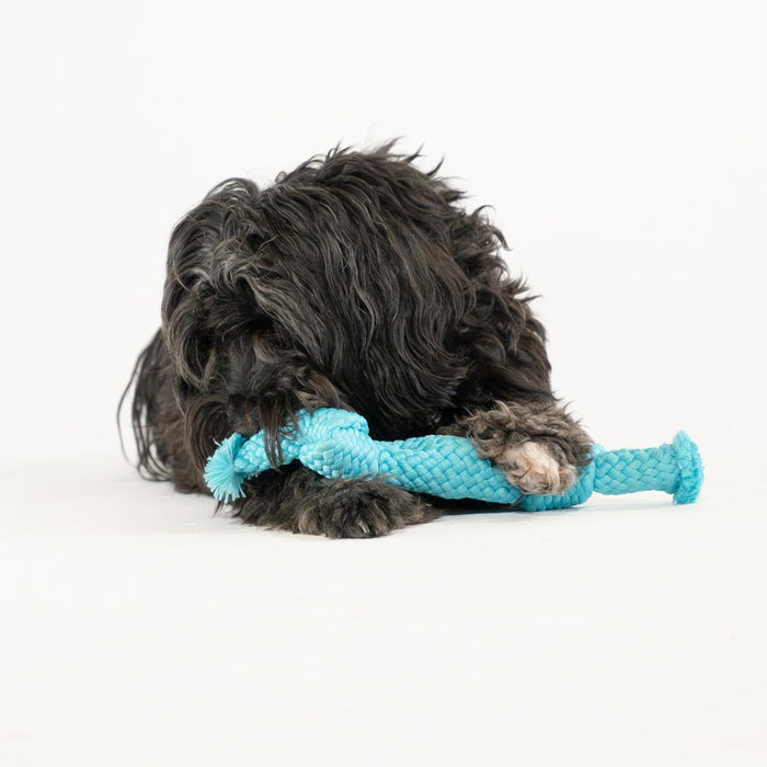 Playology Dri-Tech Rope Dog Toy for Senior Dogs Peanut Butter Scent Medium 2-Pack