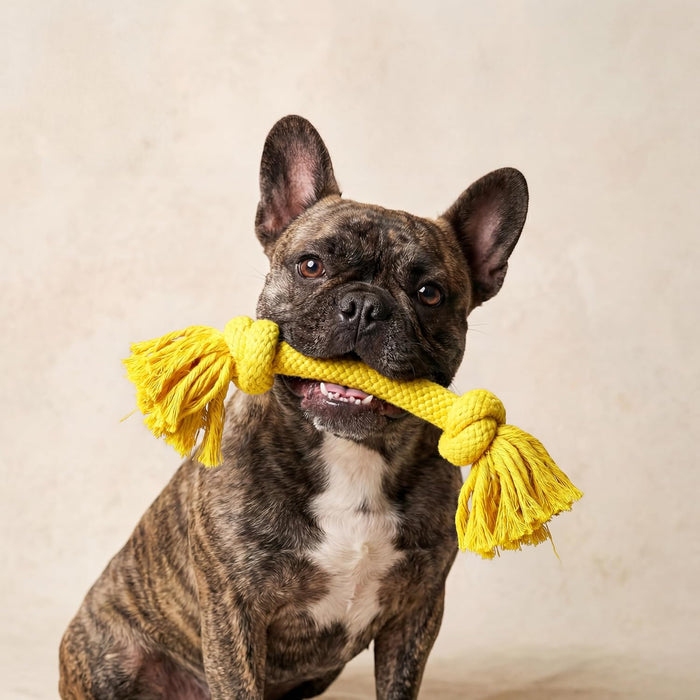 Playology Scented Rope Dog Toy Variety Pork Beef Chicken Interactive Fun 3-Pack