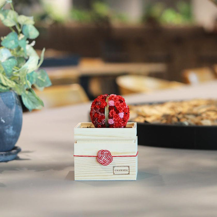 [PRESERVED FLOWER] CHAWAKA MARI RED PLUM | UJI TEA AND FLORAL DESIGN| CHAWAKA KYOTO UJI