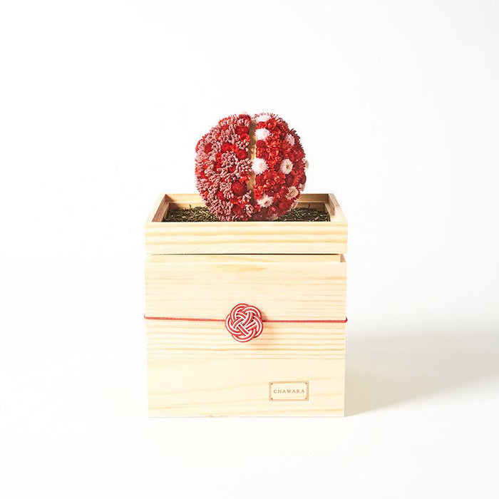 [PRESERVED FLOWER] CHAWAKA MARI RED PLUM | UJI TEA AND FLORAL DESIGN| CHAWAKA KYOTO UJI