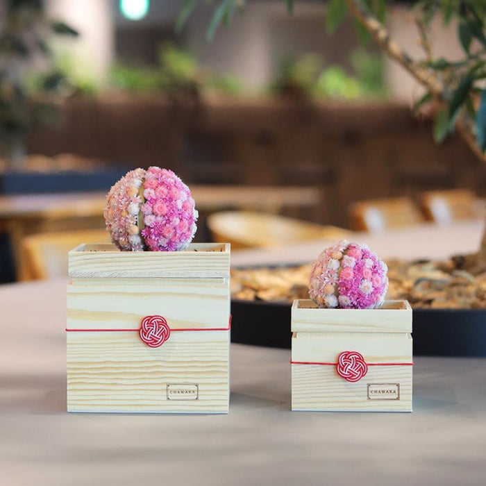 Preserved flower mari sakura diffuser in wooden box with mizuhiki knot | CHAWAKA, Kyoto Uji