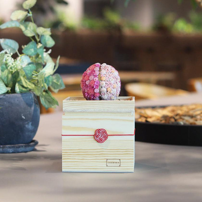 Preserved flower mari sakura diffuser in wooden gift box with mizuhiki knot | CHAWAKA, Kyoto Uji