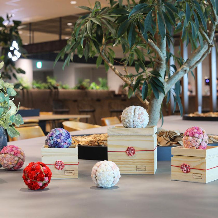 Preserved flower mari sakura ball diffusers in wooden gift boxes display | CHAWAKA Kyoto Uji