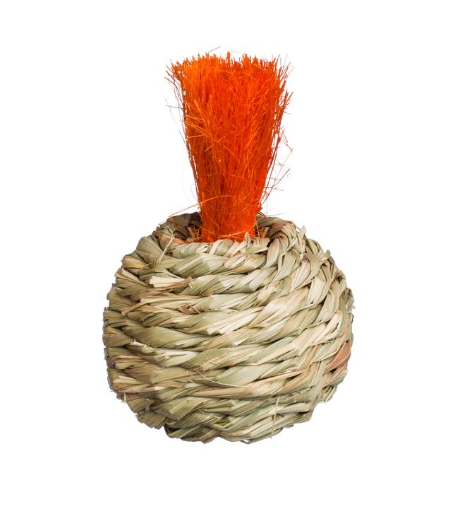 Prevue Pet Products Grassy Nibblers Squash Small Animal Chew Toy 2-Pack