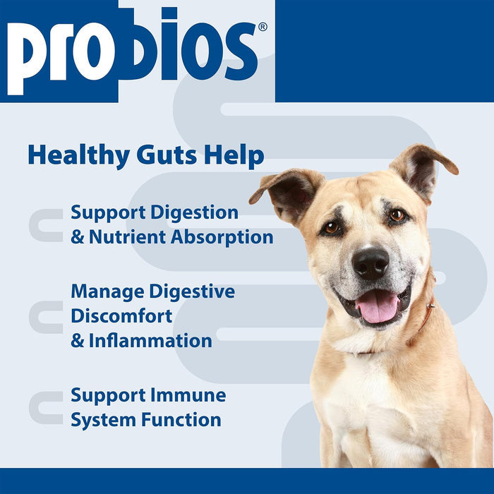 Probios Intelliflora Probiotic Powder for Dogs Chicken Liver 30 Sachets