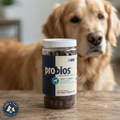 Probios Probiotic Soft Chews for Medium & Large Dogs Chicken Liver 60 Count