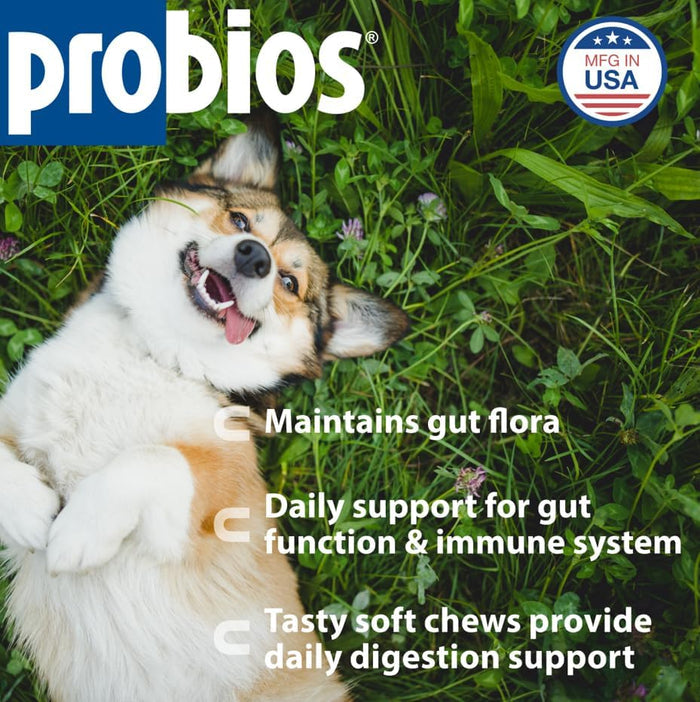 Probios Probiotic Soft Chews for Medium & Large Dogs Chicken Liver 60 Count