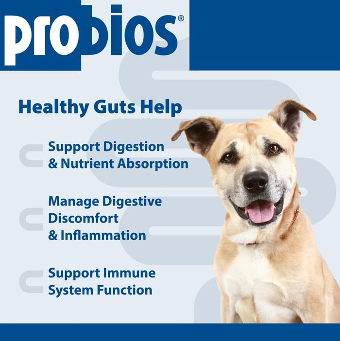 Probios Probiotic Soft Chews for Medium & Large Dogs Chicken Liver 60 Count