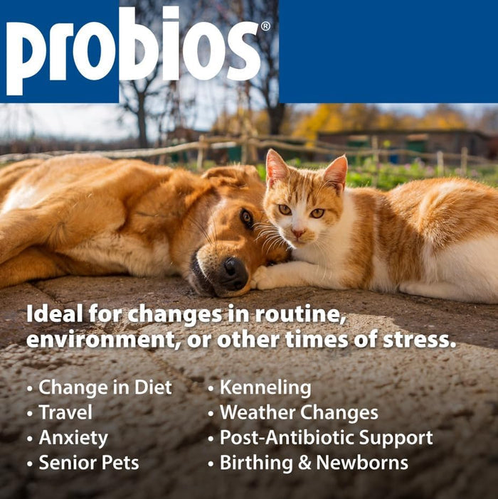 Probios Probiotic Soft Chews for Medium & Large Dogs Chicken Liver 60 Count