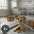 ProSelect Stainless Steel Cage Bowl for Dogs Kennels & Crates 48 oz. 2-Pack