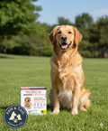 Provecta Advanced Flea Tick XL Dogs 55+ lbs 4-Month Topical Repels Mosquitoes