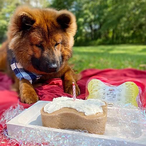 Puppy Cake Dog Birthday Cake Kit Banana Flavor Celebration Treats USA Made