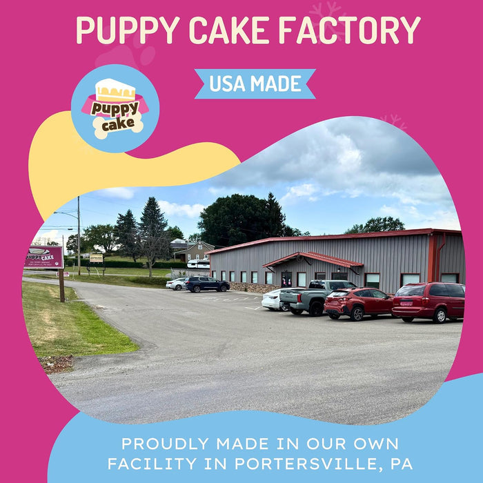 Puppy Cake Dog Birthday Cake Kit Birthday Cake Flavor Celebration Treats USA Made