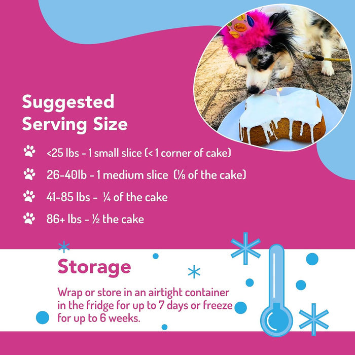 Puppy Cake Dog Birthday Cake Kit Pumpkin Flavor Celebration Treats USA Made