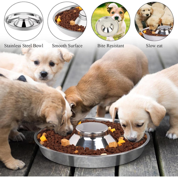 Puppy Chow & Chew Fun Pack – 11" Metal Saucer Feeder + Nylabone Peanut Butter Chew Ring