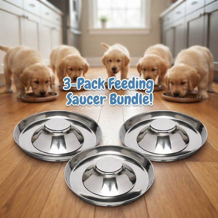 Puppy & Kitten Litter Feeding Saucer 3-Pack – 11" Metal Food & Water Feeders