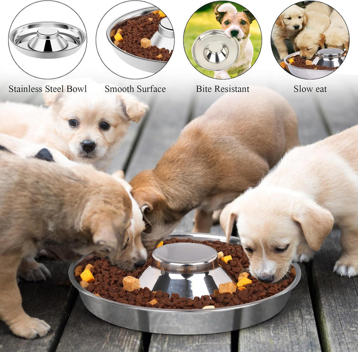 Puppy & Kitten Litter Feeding Saucer 3-Pack – 11" Metal Food & Water Feeders