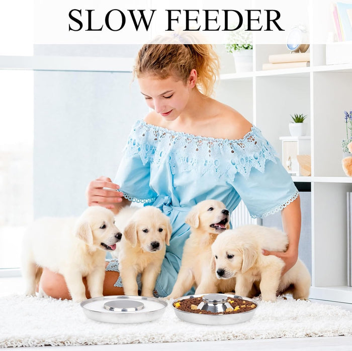 Puppy & Kitten Litter Feeding Saucer 3-Pack – 11" Metal Food & Water Feeders