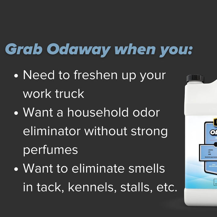 Pyranha Odaway Ready to Use Odor Eliminator 15 oz. 2-Pack