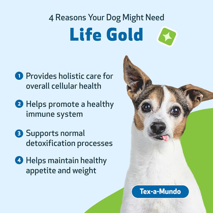 Raw Cat Pet Wellbeing Life Gold Health Support Supplement Dogs 2oz.
