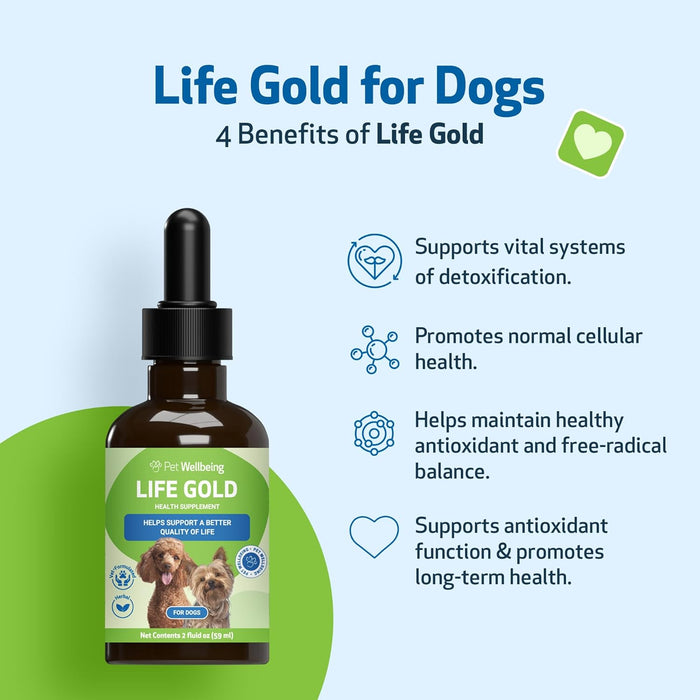 Raw Cat Pet Wellbeing Life Gold Health Support Supplement Dogs 2oz.