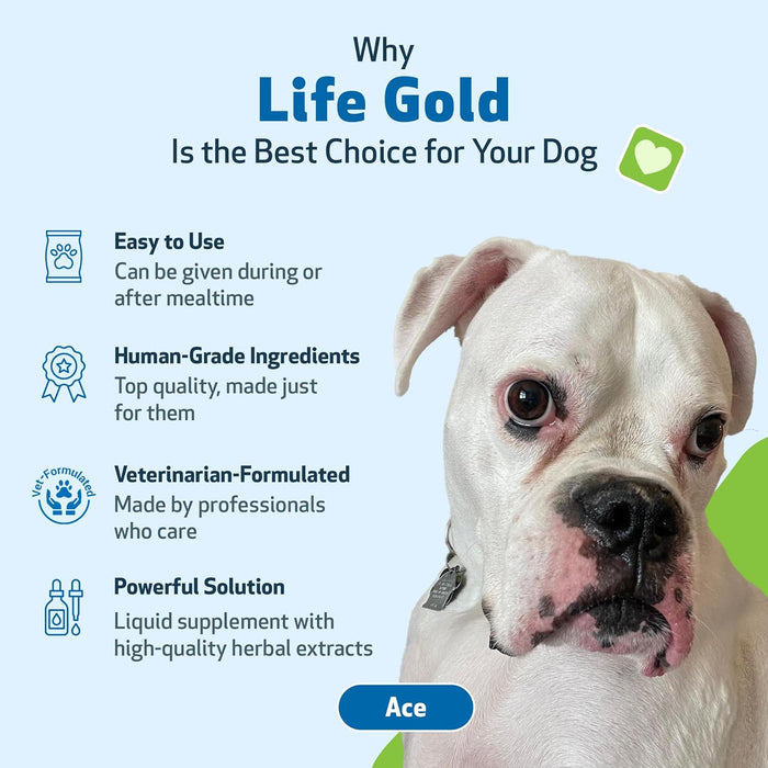 Raw Cat Pet Wellbeing Life Gold Health Support Supplement Dogs 2oz.