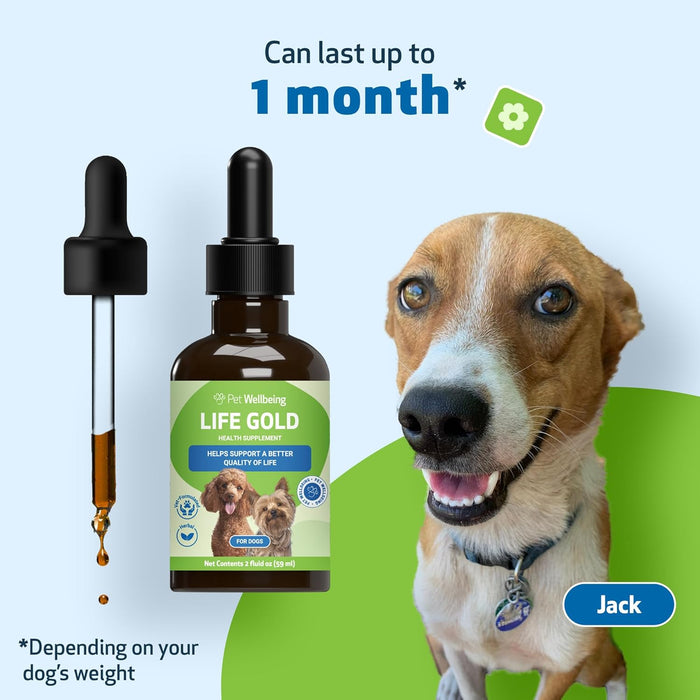 Raw Cat Pet Wellbeing Life Gold Health Support Supplement Dogs 2oz.