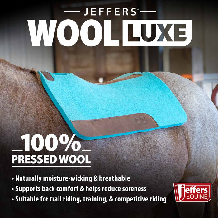 Raw Horse Jeffers Woolluxe 100% Wool Equine Saddle Pad – Cushioned, Breathable, Shock-absorbing