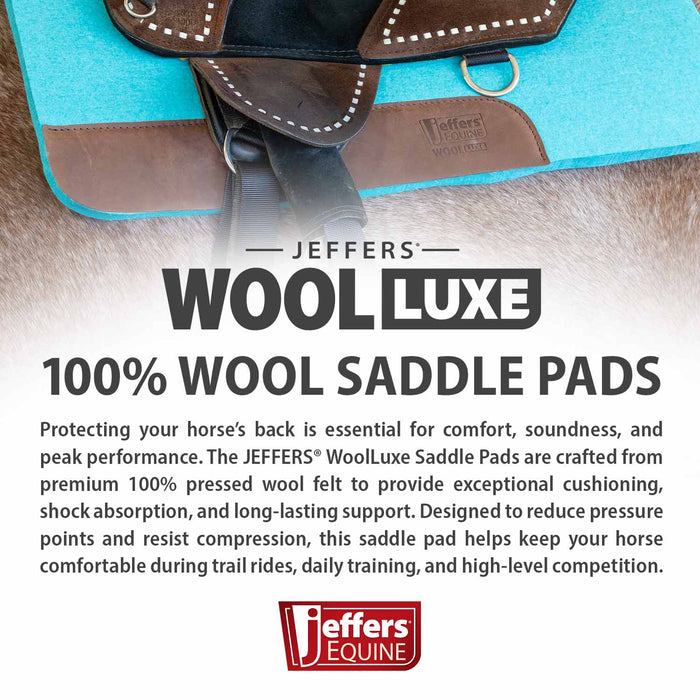 Raw Horse Jeffers Woolluxe 100% Wool Equine Saddle Pad – Cushioned, Breathable, Shock-absorbing