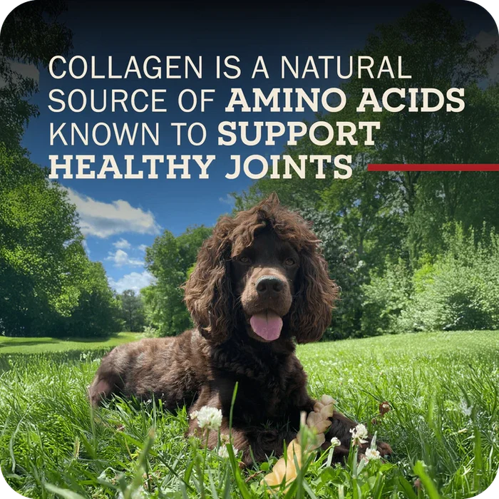 Redbarn Beaut-a-Bull Collagen Stick Dog Treat Large Beef Chew for Large Dogs 3ct