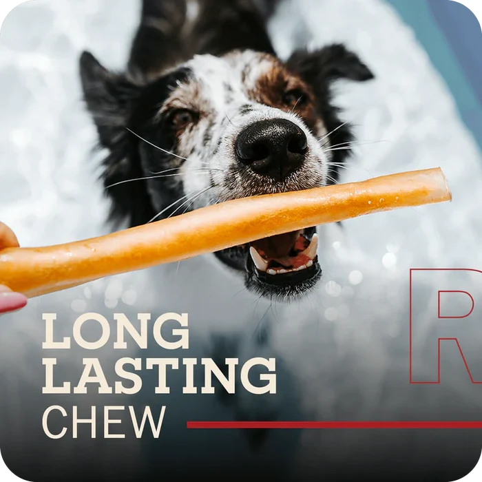 Redbarn Beaut-a-Bull Collagen Stick Dog Treat Medium Beef Chew for Medium Dogs 3ct
