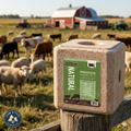 Redmond Natural Trace Mineral Salt Block Supplement for Livestock 44lb