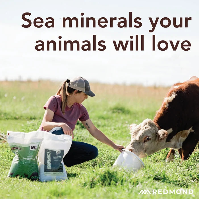 Redmond Natural Trace Mineral Salt Block Supplement for Livestock 44lb