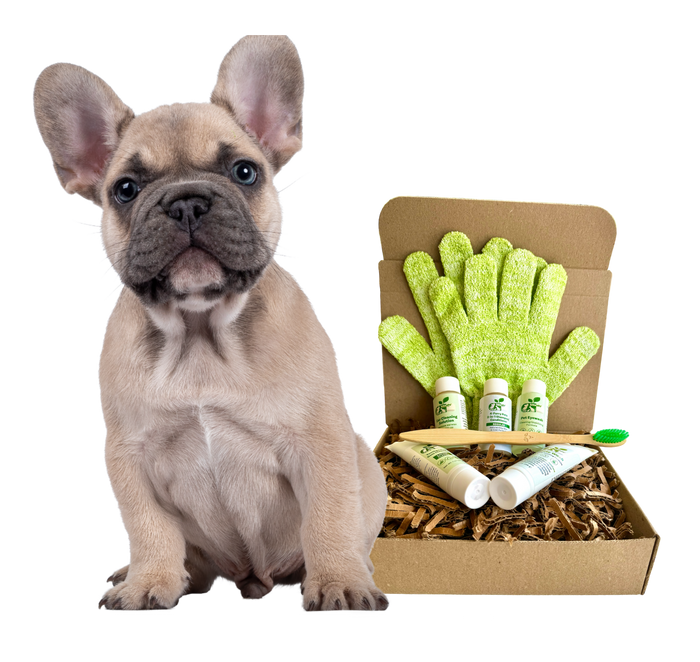 ReNewedPet 4 Furry Friends Dog Grooming & Supplement Kit