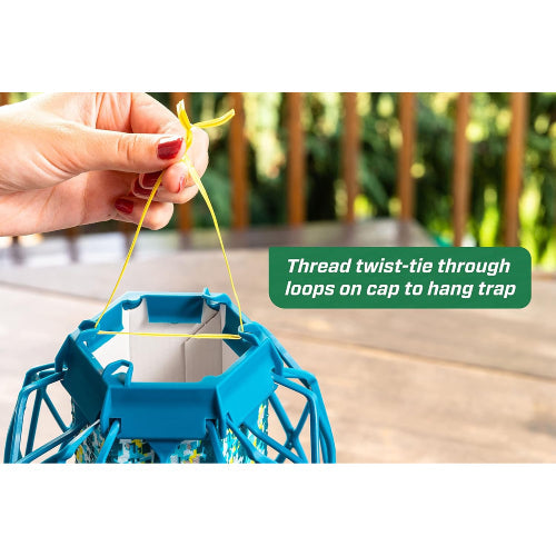 RESCUE! TrapStik Sticky Fly Trap with Bird Guard Non-Toxic Odor-Free