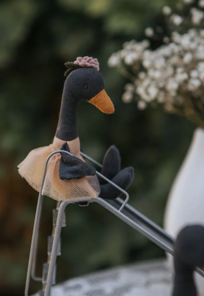 Rugaroo Black Swan- Wattle The Bush Florist Black Swan : SOLD OUT
