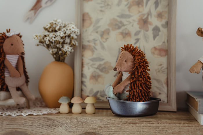 Rugaroo Echidna Col The Campground Host: NEW ARRIVAL