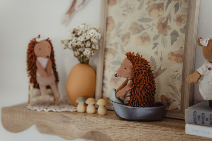 Rugaroo Echidna Col The Campground Host: NEW ARRIVAL