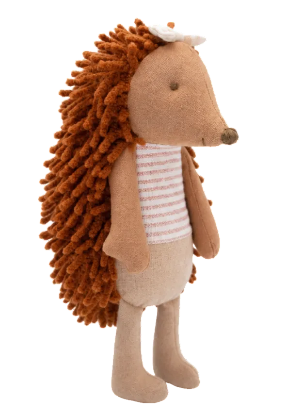 Rugaroo Echidna Riva The Campground Host: NEW ARRIVAL