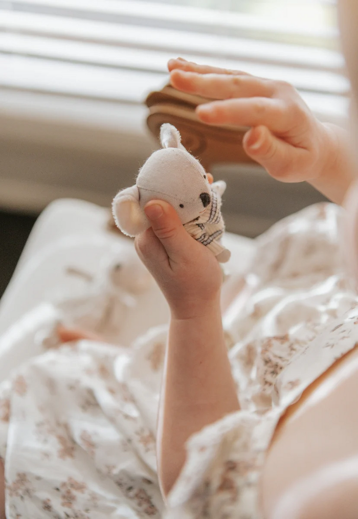 Rugaroo Koala Dusty The Buck | Koala Doll: BACK IN STOCK