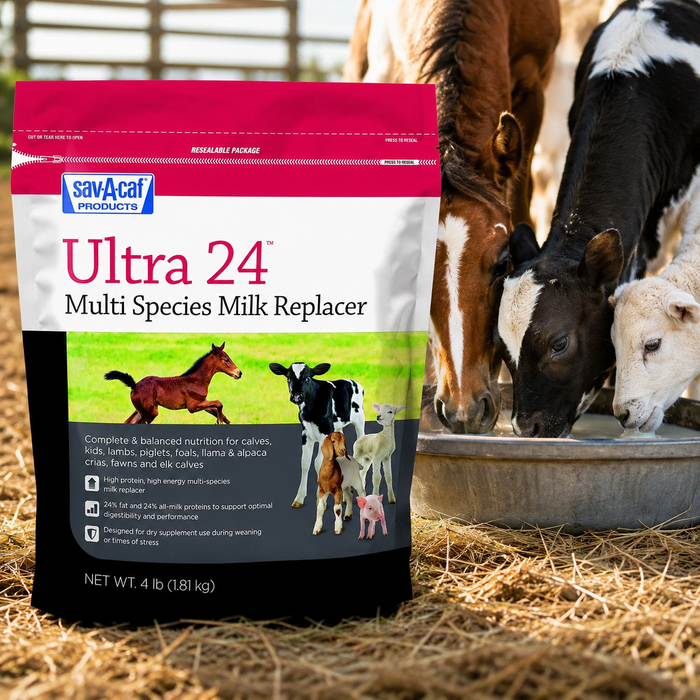 Sav-A-Caf Ultra 24 Multi-Species Milk Replacer High Protein Formula 4lbs.