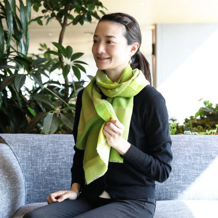 [SCARF] STRIPE (MATCHA SHADING) S | KYO YUZEN DYEING | NOGIGUCHI KIHEI