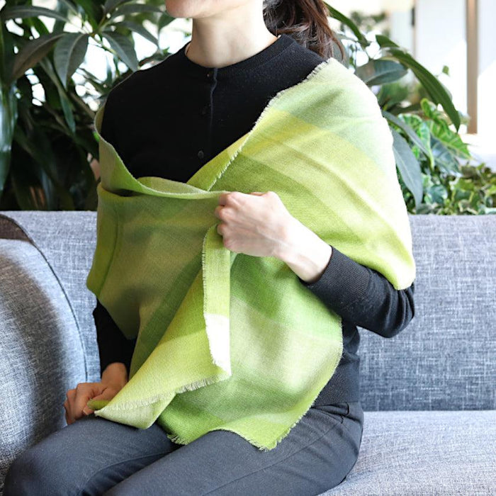 [SCARF] STRIPE (MATCHA SHADING) S | KYO YUZEN DYEING | NOGIGUCHI KIHEI