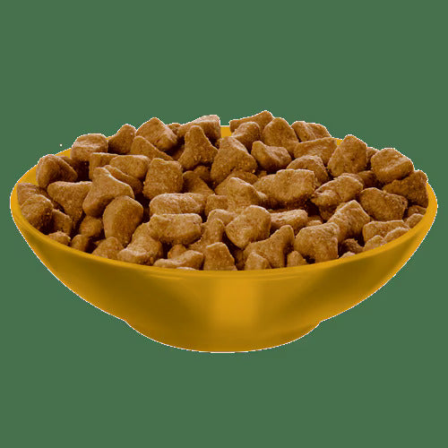 Science diet Chicken Kitten Dry food Cat Hill's Adult Hairball Control Recipe Bag (3.5lb)