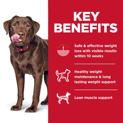 Science diet Chicken Puppy Dog Hill's Adult Perfect Weight Large Breed Dry Food, Recipe Bag (25lb)