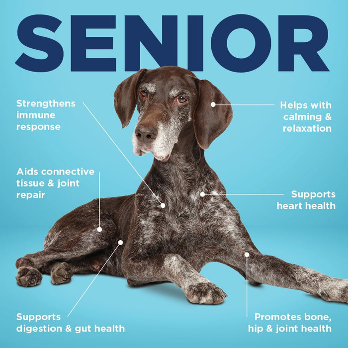 Senior Dog Mobility & Play Bundle – Vetericyn Bone & Joint + Playology Dental Rope Toy