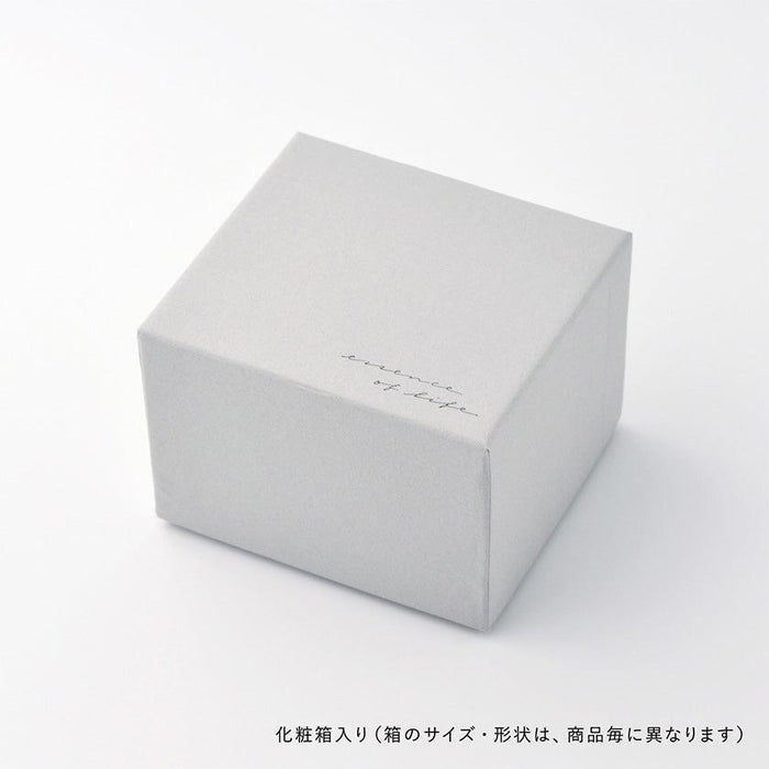 [SMALL DISH] SUNNY SET OF 5 (COLOR) | HASAMI WARES| SAIKAI TOKI