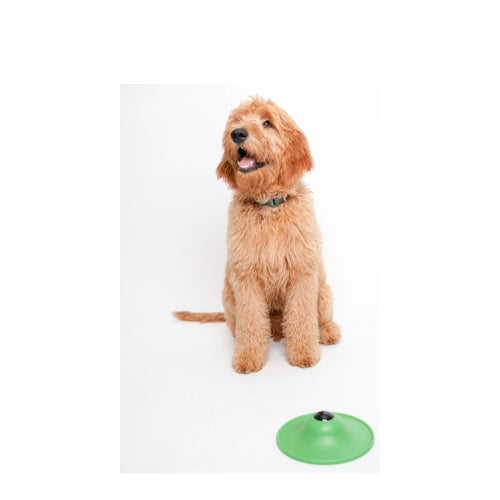 Soothing Saucer Dog Anxiety Relief Toy Licking Dispenser Stress Calming Patented 2-Pack