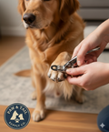Stainless Steel Dog Nail Trimmer Non-Dulling Blade Grooming Claw Care Supplies